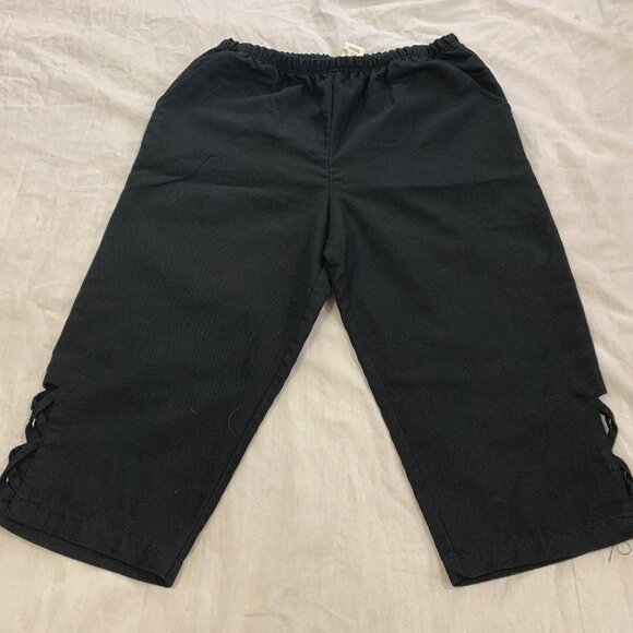 ๐ฆ BLAIR WOMENS CAPRIS PANTS SIZE M PETITE ๐ฆ - Picture 1 of 4